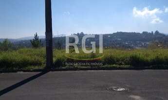 Imagem 5: Terreno em Aberta dos Morros