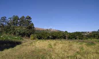 Imagem 7: Area em Campo Novo