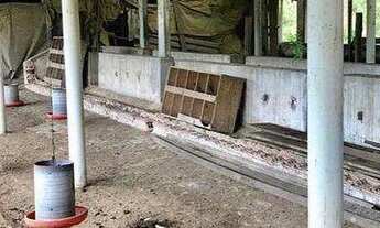 Imagem 5: Sítio à venda, 480000 m² por R$ 1.550.000,00 - Soledade - Teresópolis/RJ