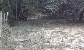 Imagem: Sitio Mata de Sao Joao Bahia Salvador 103.000m2