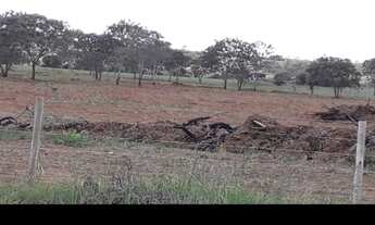 Imagem 2: Vende-se uma excelente fazenda de 350 Alqueires