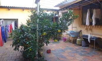 Imagem 7: Terreno em Tristeza