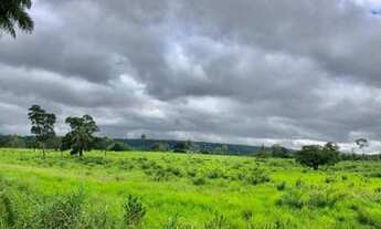 Imagem 6: Excelente propriedade localizada cerca de 45km de Araguaína/To, as margens da rodovia TO22