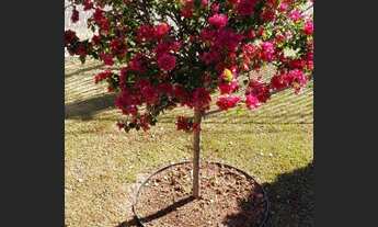 Imagem 3: Itatiba - Casa de Condomínio - Parque da Fazenda