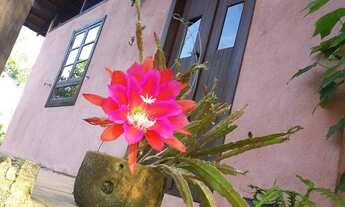 Imagem 7: Sítio com 2 casas excelente localização!