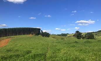 Imagem 2: Terreno 20.000 M² PÉ NA ÁGUA / Piracaia