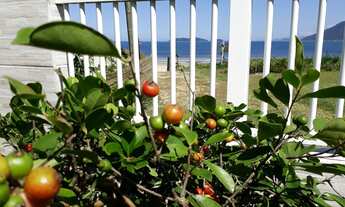 Imagem 4: Residencial pé na areia. Linda localidade com 5 edificações. Terreno com 933,41 m² e 439,0