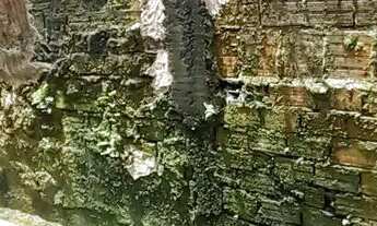 Imagem 3: Casa a VENDA 85.000 COLONIA TERRA NOVA