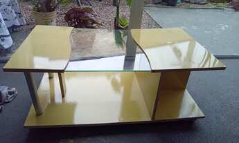 Imagem 4: Vendo mesa de centro com quatro rodas e um vaso de flor em ótimo estado