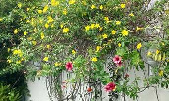 Imagem 12: Casa para Aluguel na Barra da Tijuca, Condomínio Santa Marina