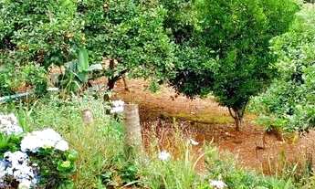 Imagem 3: Recanto do Sossego