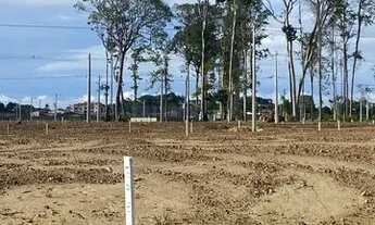 Imagem 4: Lote no bouganville