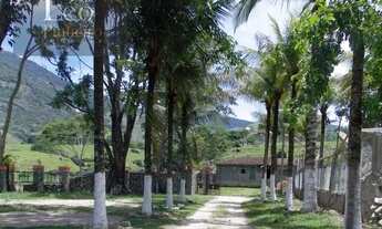 Imagem 6: Sítio em Frade - Macaé