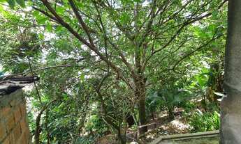 Imagem 5: 9 apartamentos mais casa pra venda no cidade nova 100% imobiliado