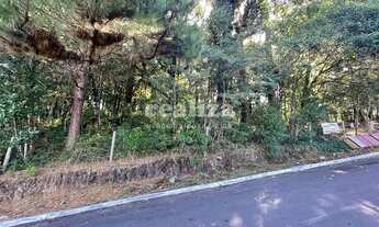 Imagem 6: TERRENO EM GRAMADO