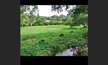 Imagem 4: Gravataí Sítio Frente Asfaltado - 3200 metros