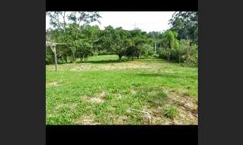 Imagem 7: Gravataí Sítio Frente Asfaltado - 3200 metros