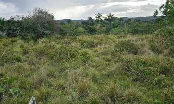 Imagem 4: Vendo excelente lote em Nazaré das farinha