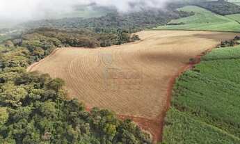 Imagem 6: Área rural de 96,15 hectares à venda - Jardinópolis