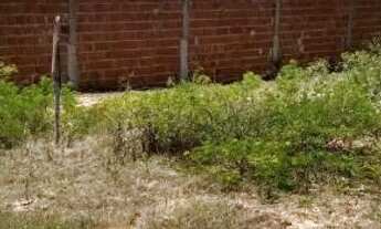 Imagem 3: EXCELENTE OPORTUNIDADE! TERRENO P/VENDA PRÓXIMO AO PORTAL DO SOL. 15 X 30. VALOR : 60 MIL