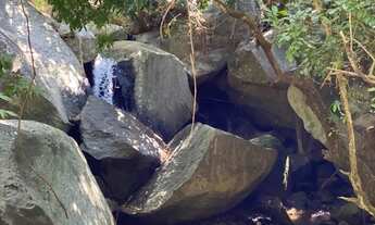 Imagem 4: Chácara // Sítio // Lote