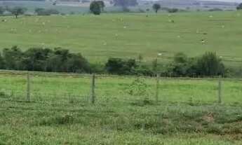 Imagem 5: 60 alqueires em Monte Aprazível/SP EXCELENTE LOCALIZAÇÃO: 8 km do asfalto