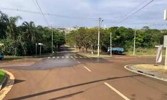 Imagem 2: Terreno comercial no Terras de Santa Martha com 1295 m2