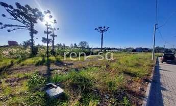 Imagem 4: Terreno para venda, Desvio Rizzo, Caxias Do Sul