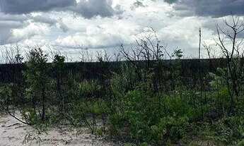Imagem 3: FAZENDA (3.120 hectares). A 130 KM DE TANGARÁ DA SERRA. OPORTUNIDADE DE NEGÓCIO
