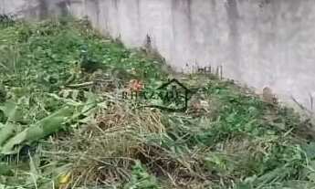 Imagem 3: Excelente terreno 182m2 plano e murado em Piratininga (Cafubá), Niterói