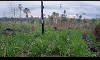 Imagem 3: Fazenda na br174 km185,zona rural de Presidente Figueiredo