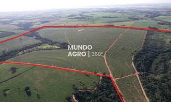 Imagem: 132 Alqueires em cana a 64 ton/ano