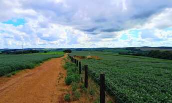 Imagem 4: Fazenda em Abadiânia-Go - 201 Hectares