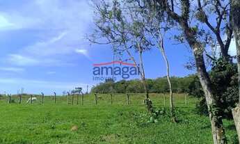 Imagem 7: Área para venda