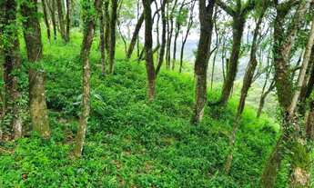 Imagem 4: Venda de Terreno em Condomínio em Caxias do Sul-RS, bairro Nossa Senhora da Saúde
