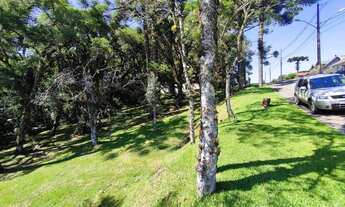 Imagem: Lote em condomínio em rua Jenny chaves