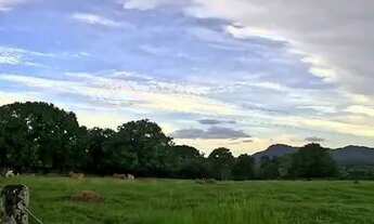 Imagem 5: FAZENDA 103 ALQ EM COLINAS DO SUL - GO