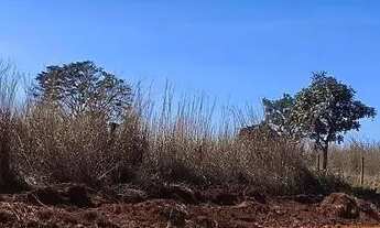 Imagem 3: Lote 5 mil m² Sítio Recreio Caraíbas