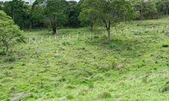 Imagem 4: Terreno de 2 Hectares - Acesso a Represa