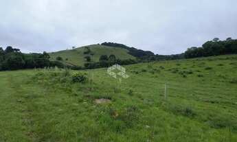 Imagem 6: Chácara com 3 hectares no Juá em São Francisco de Paula