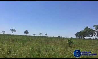 Imagem 4: Fazenda à venda em Quirinópolis/GO 43 Alqueires