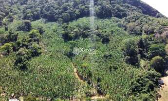 Imagem 3: Terreno de 2 alqueires à Venda em Laje das Pedras, Guarapari/ES - Produção de Banana, Água