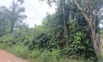 Imagem 3: Vendo Terreno de Esquina