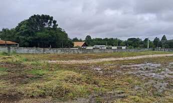 Imagem 3: Terrenos Planos Com Benfeitorias em Condomínio fechado