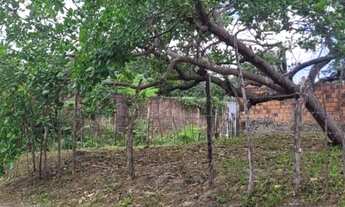 Imagem 3: Terreno no Turu, atrás do Motel Le Baron