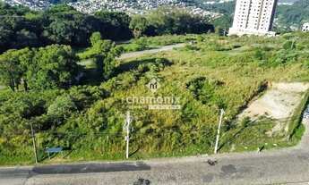 Imagem 4: TERRENO - NOSSA SENHORA DAS GRAÇAS (658,96M²