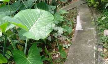 Imagem 4: Oportunidade Única a Construtores: Terreno 270m² Localização Privilegiada