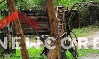 Imagem 3: Casa em Servidão Portal das Flores - Ponta das Canas - Florianópolis/SC