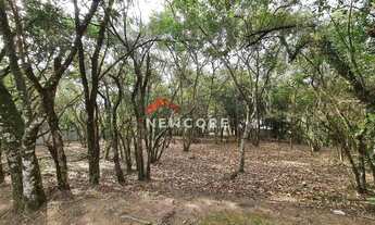 Imagem 7: Lote em condomínio em Rua Janina - Vila de São Fernando - Cotia/SP