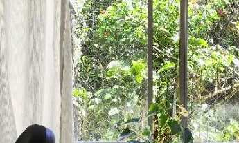 Imagem 3: Quarto amplo para mulher em Coqueiros - R$ 1.500 tudo incluso - condomínio fechado